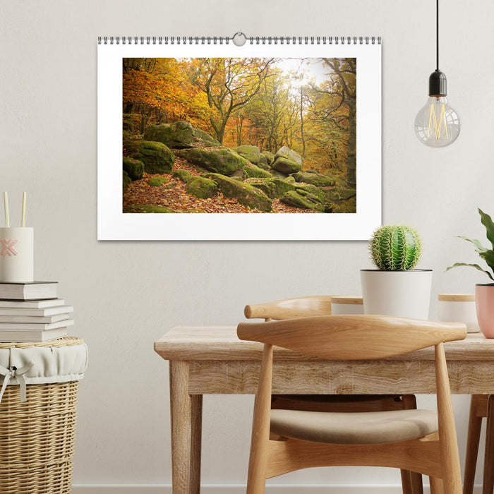 Zauberhafte Landschaften im Odenwald (CALVENDO Wandkalender 2026)