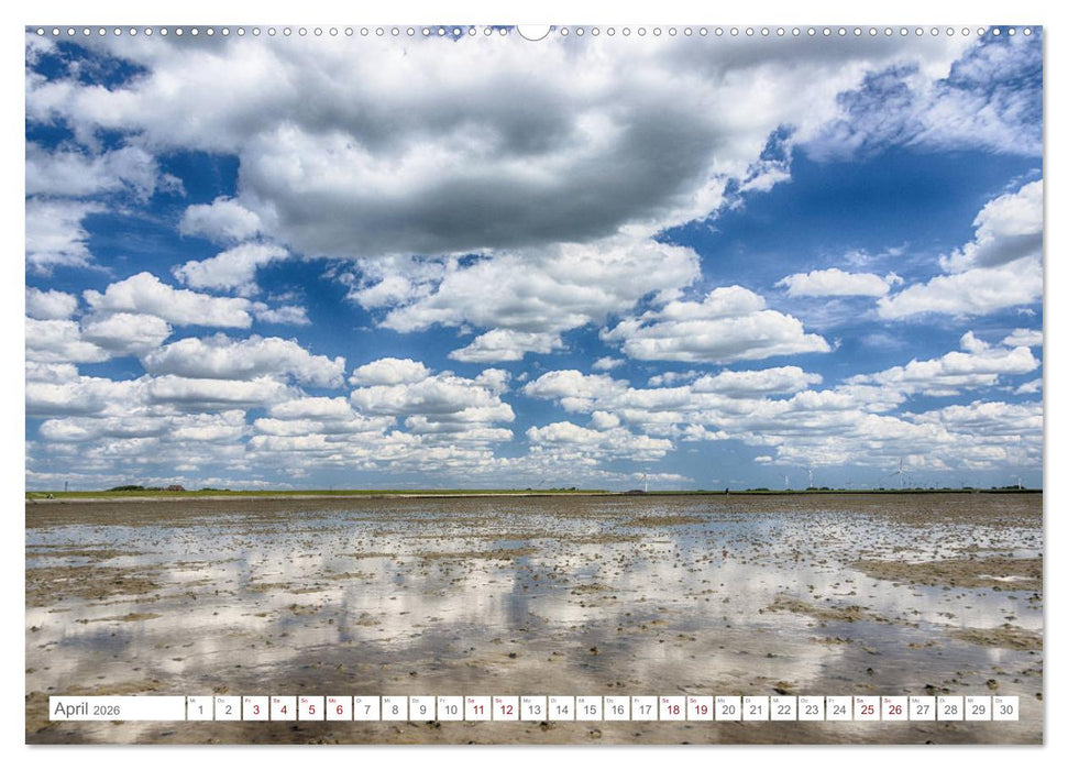 Schleswig-Holsteins Norden (CALVENDO Wandkalender 2026)
