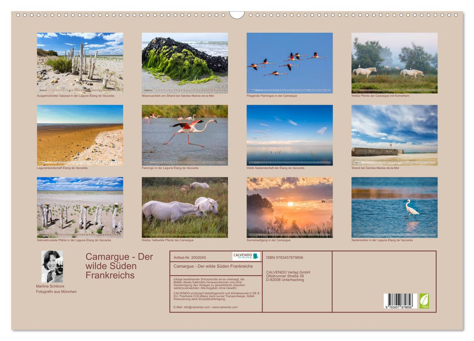 Camargue - Der wilde Süden Frankreichs (CALVENDO Wandkalender 2026)