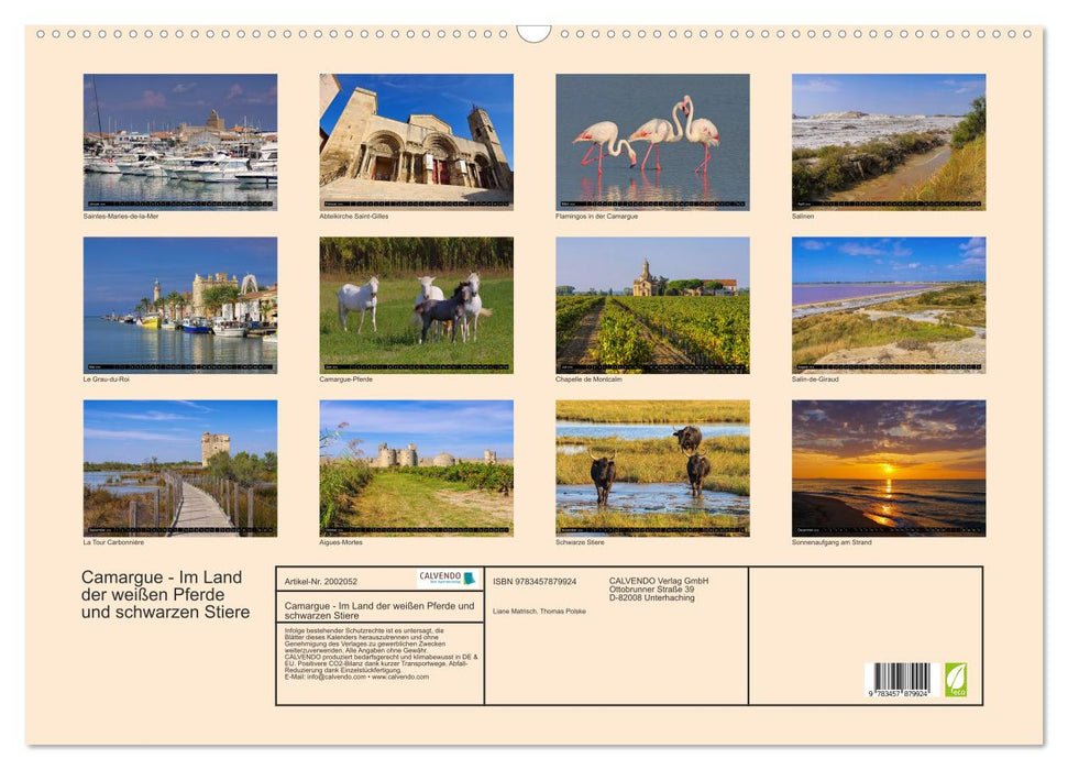 Camargue - Im Land der weißen Pferde und schwarzen Stiere (CALVENDO Wandkalender 2026)