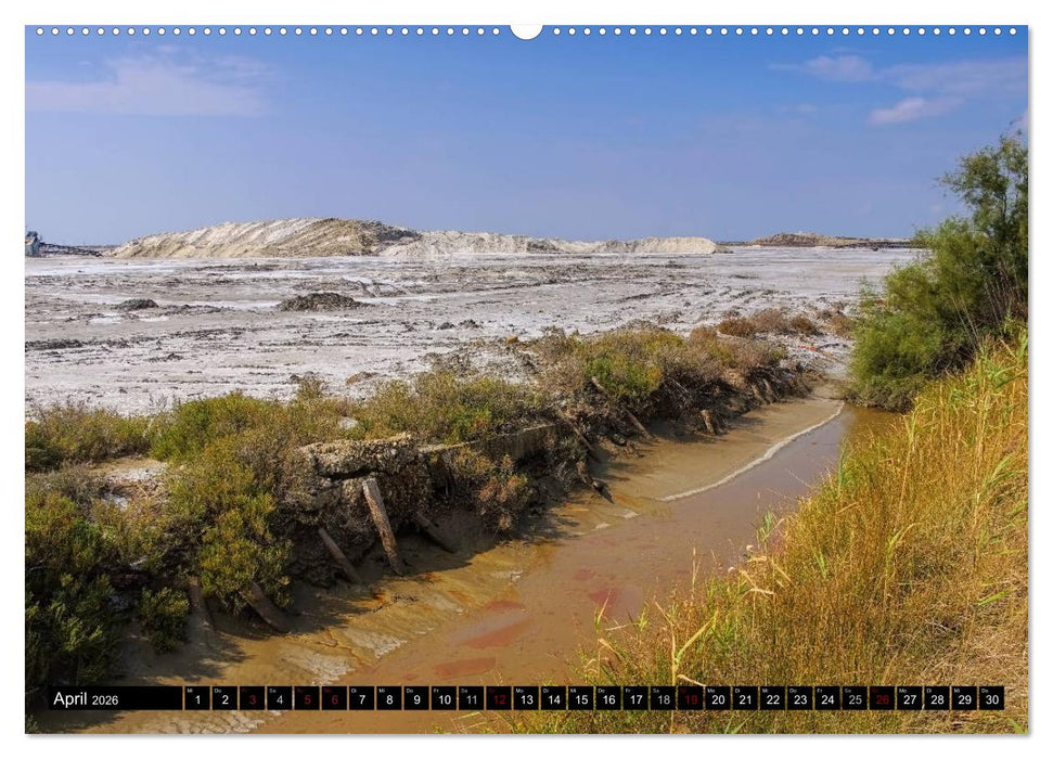 Camargue - Im Land der weißen Pferde und schwarzen Stiere (CALVENDO Wandkalender 2026)