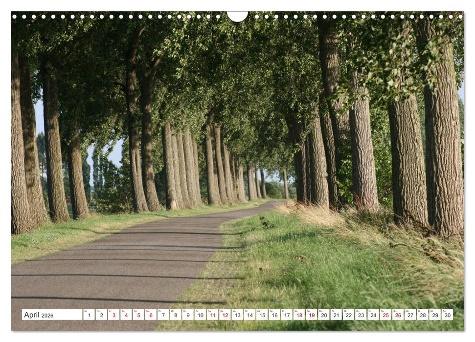 Seeländisches Flandern (CALVENDO Wandkalender 2026)