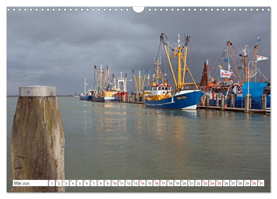 Seeländisches Flandern (CALVENDO Wandkalender 2026)