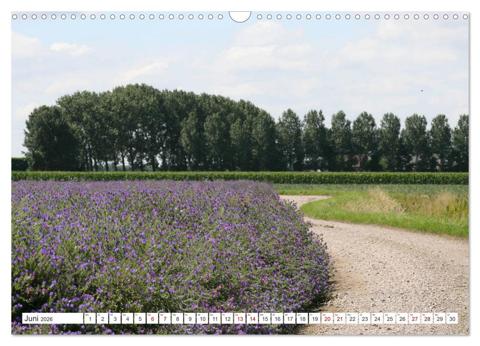 Seeländisches Flandern (CALVENDO Wandkalender 2026)