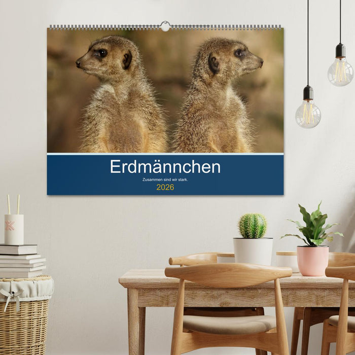 Erdmännchen - Zusammen sind wir stark (CALVENDO Wandkalender 2026)