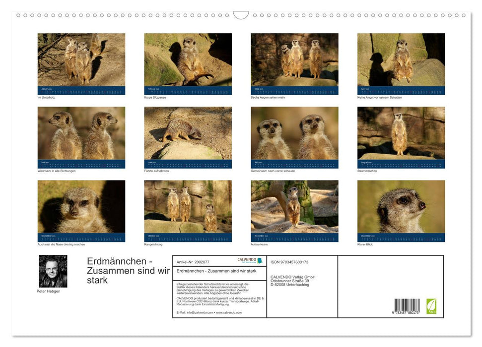 Erdmännchen - Zusammen sind wir stark (CALVENDO Wandkalender 2026)