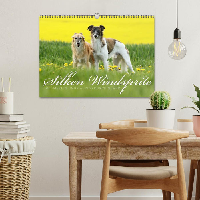 Silken Windsprite - Mit Merlin und Calisto durch´s Jahr 2026 (CALVENDO Wandkalender 2026)