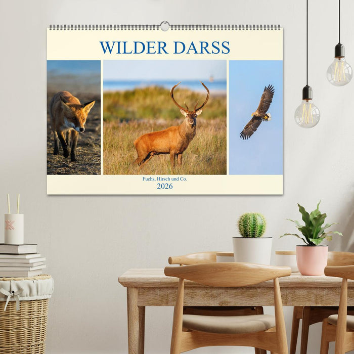 Wilder Darß - Fuchs, Hirsch und Co. 2026 (CALVENDO Wandkalender 2026)