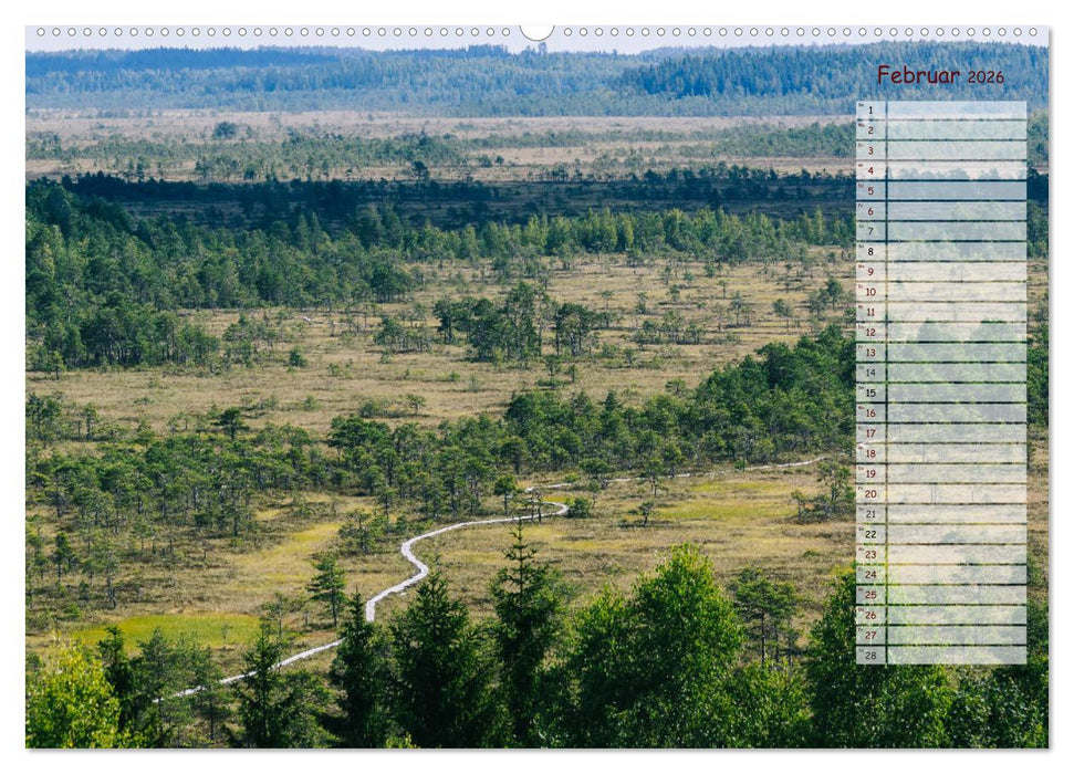 Finnlands raue Schönheit (CALVENDO Wandkalender 2026)