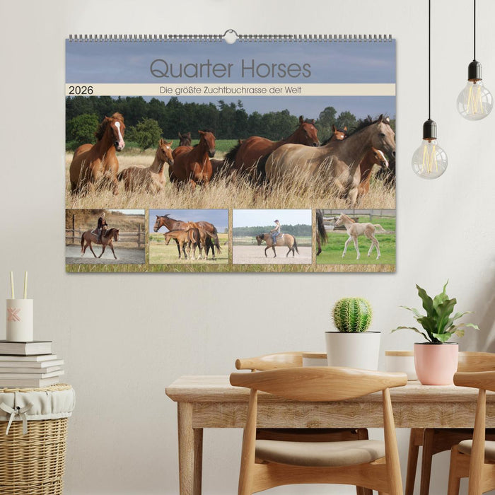 Quarter Horses - Die größte Zuchtbuchrasse der Welt (CALVENDO Wandkalender 2026)