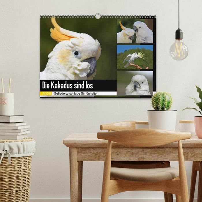 Die Kakadus sind los (CALVENDO Wandkalender 2026)