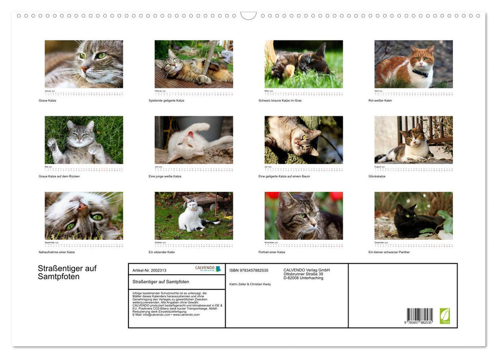 Straßentiger auf Samtpfoten (CALVENDO Wandkalender 2026)