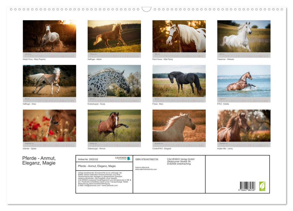 Pferde - Anmut, Eleganz, Magie (CALVENDO Wandkalender 2026)