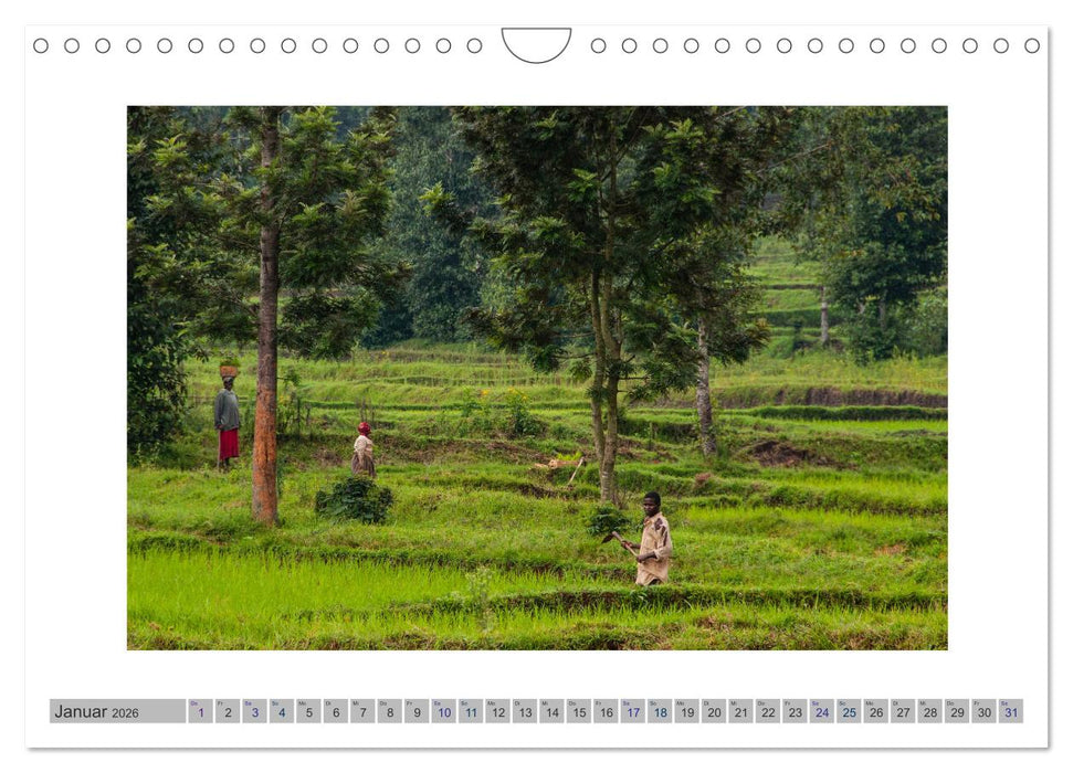 Ruanda (CALVENDO Wandkalender 2026)