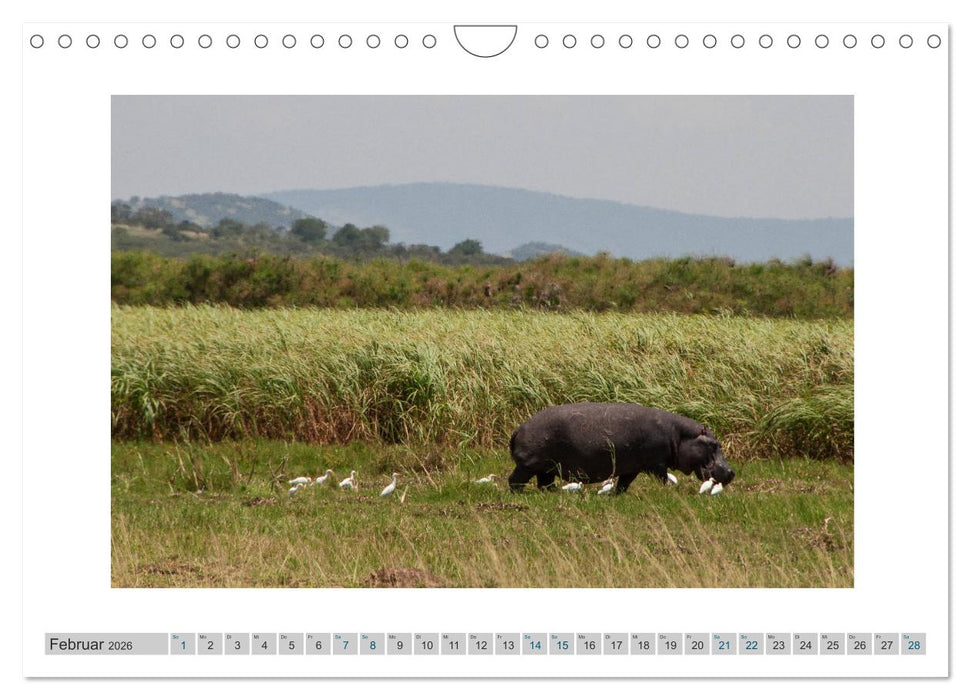 Ruanda (CALVENDO Wandkalender 2026)
