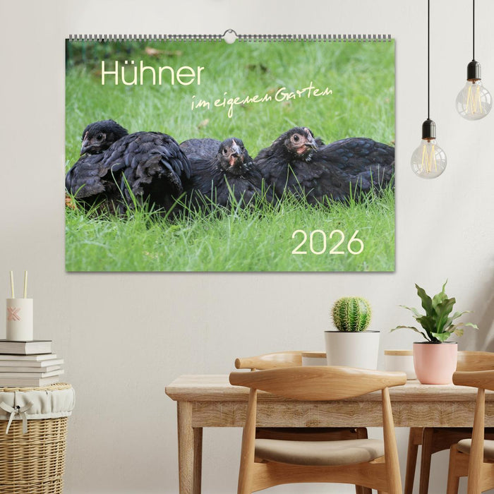Hühner im eigenen Garten (CALVENDO Wandkalender 2026)
