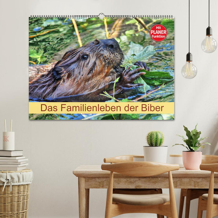 Das Familienleben der Biber (CALVENDO Wandkalender 2026)