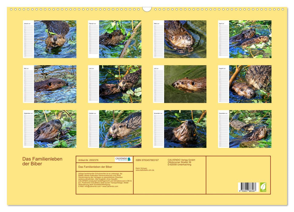 Das Familienleben der Biber (CALVENDO Wandkalender 2026)