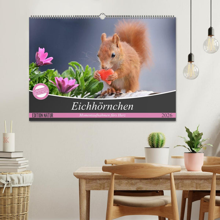 Eichhörnchen Momentaufnahmen fürs Herz (CALVENDO Wandkalender 2026)
