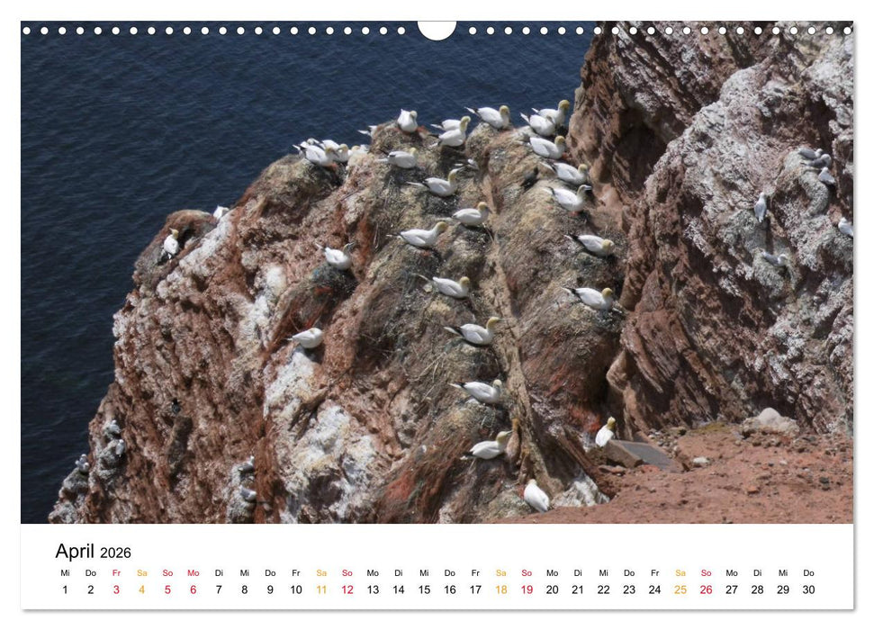 Helgoland Kalender (CALVENDO Wandkalender 2026)