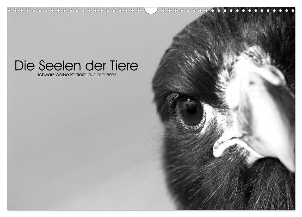 Die Seelen der wilden Tiere (CALVENDO Wandkalender 2026)