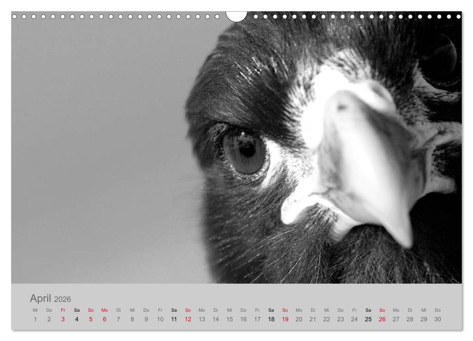 Die Seelen der wilden Tiere (CALVENDO Wandkalender 2026)