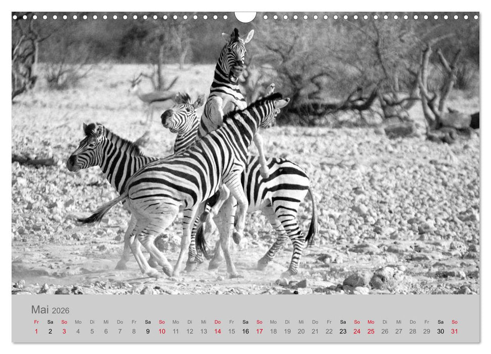 Die Seelen der wilden Tiere (CALVENDO Wandkalender 2026)