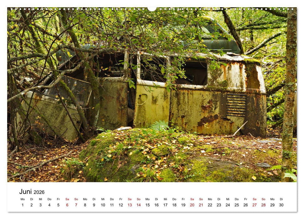 Rostende Legenden (CALVENDO Wandkalender 2026)