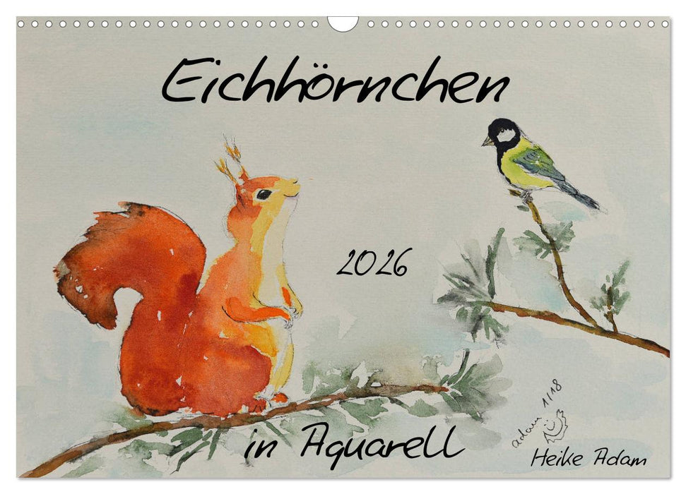 Eichhörnchen in Aquarell (CALVENDO Wandkalender 2026)