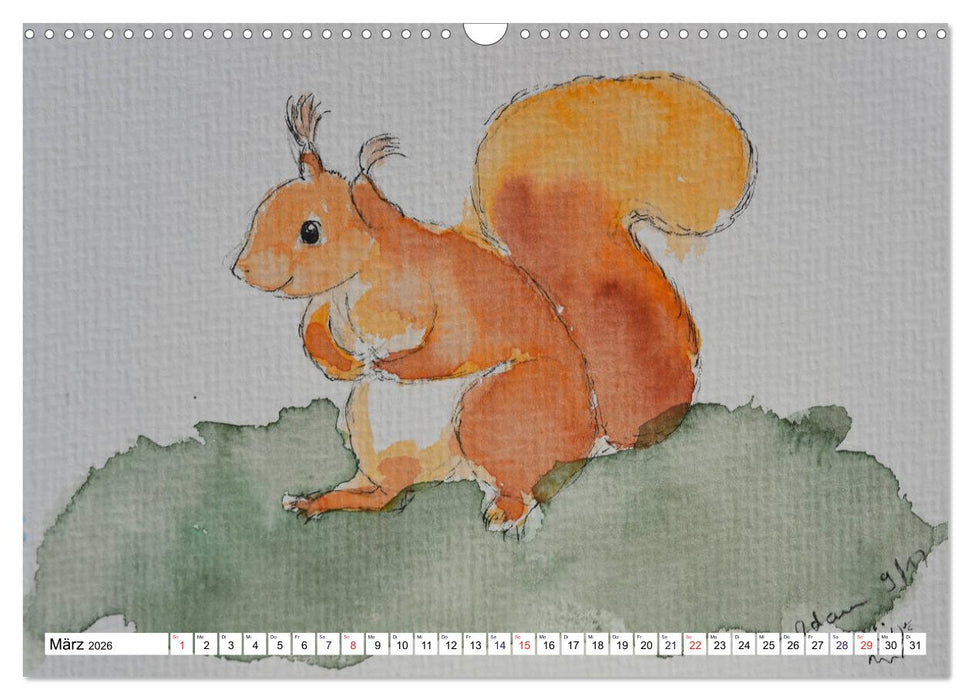Eichhörnchen in Aquarell (CALVENDO Wandkalender 2026)