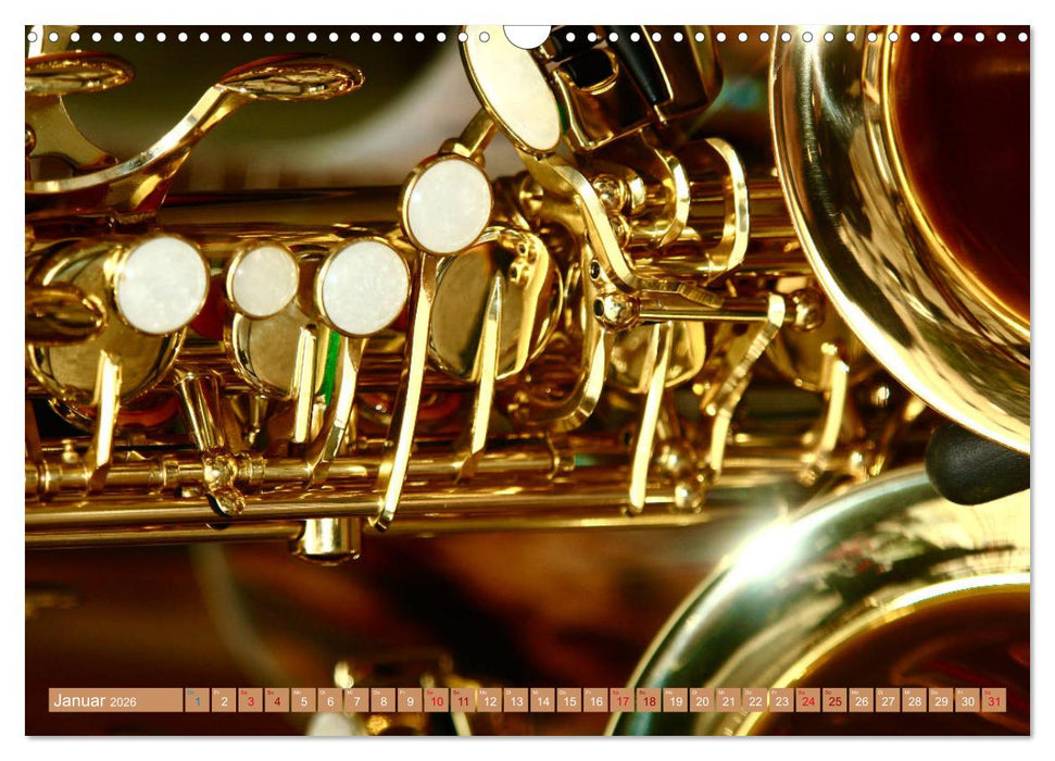 Aus Liebe zur Musik (CALVENDO Wandkalender 2026)