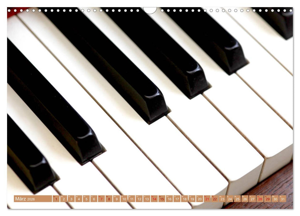 Aus Liebe zur Musik (CALVENDO Wandkalender 2026)