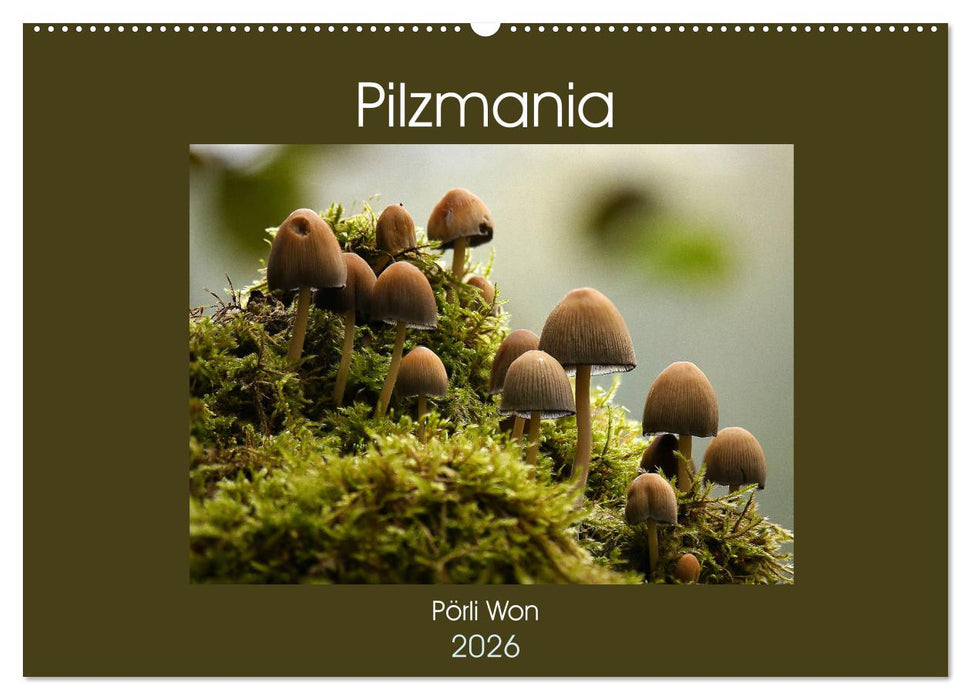 Pilzmania (CALVENDO Wandkalender 2026)