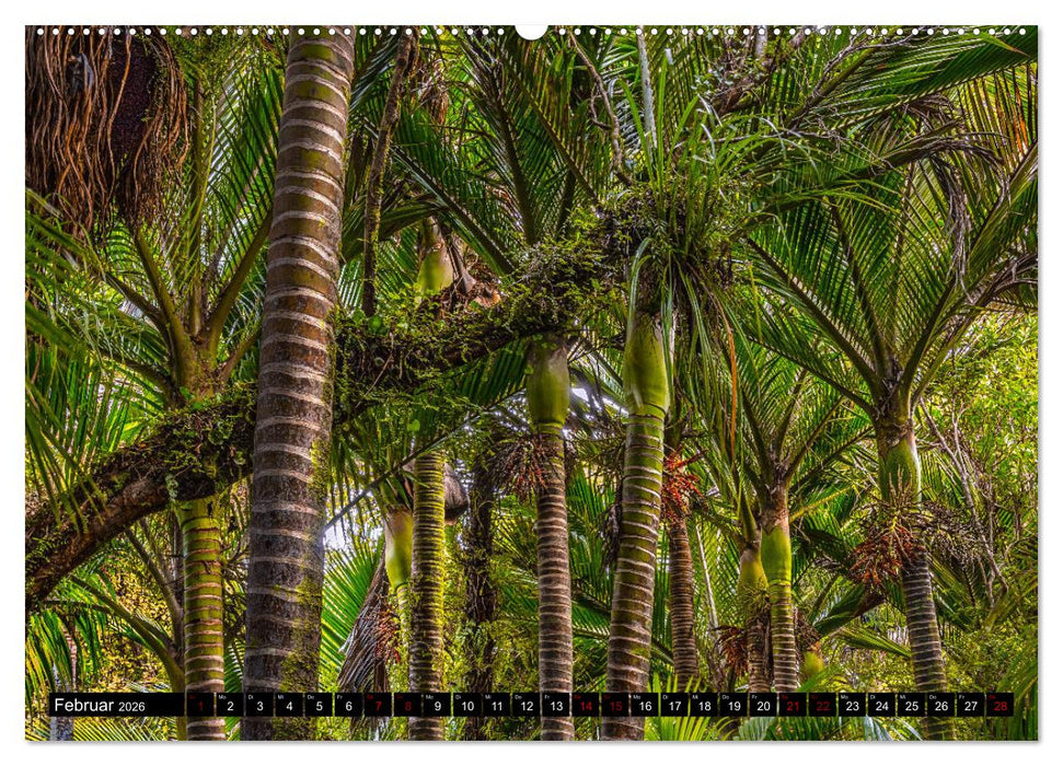 Trauminseln Neuseeland (CALVENDO Wandkalender 2026)