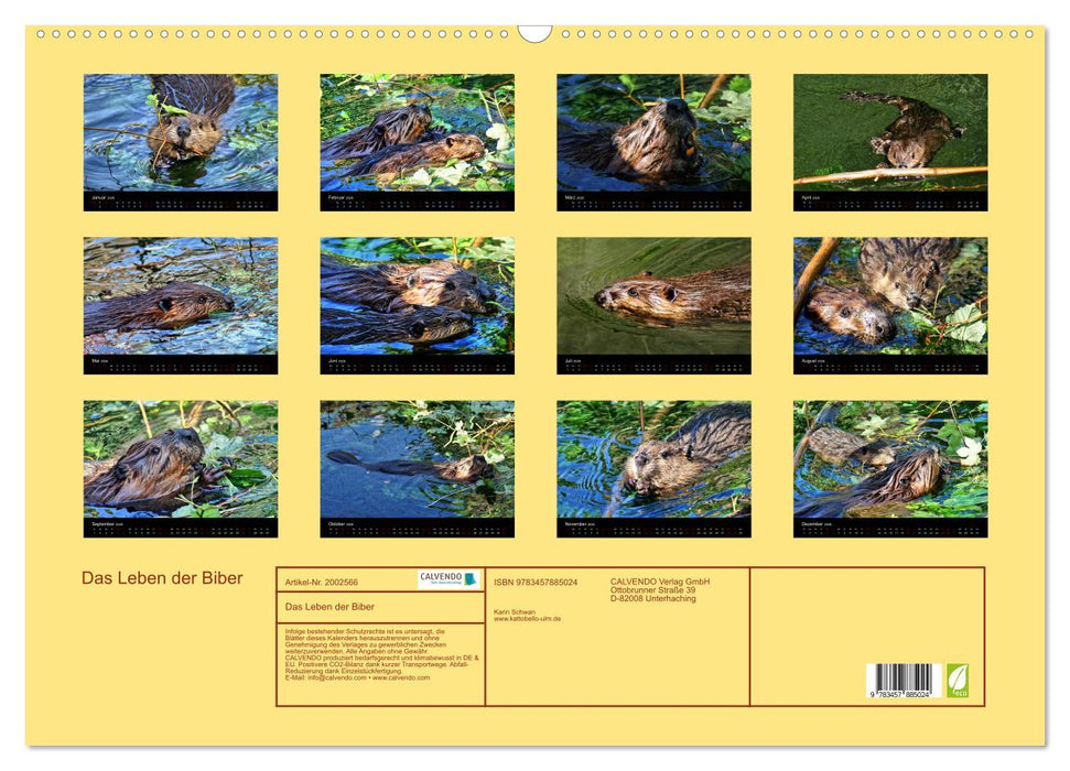 Das Leben der Biber (CALVENDO Wandkalender 2026)