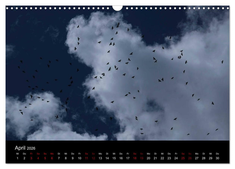 Wolken. (CALVENDO Wandkalender 2026)