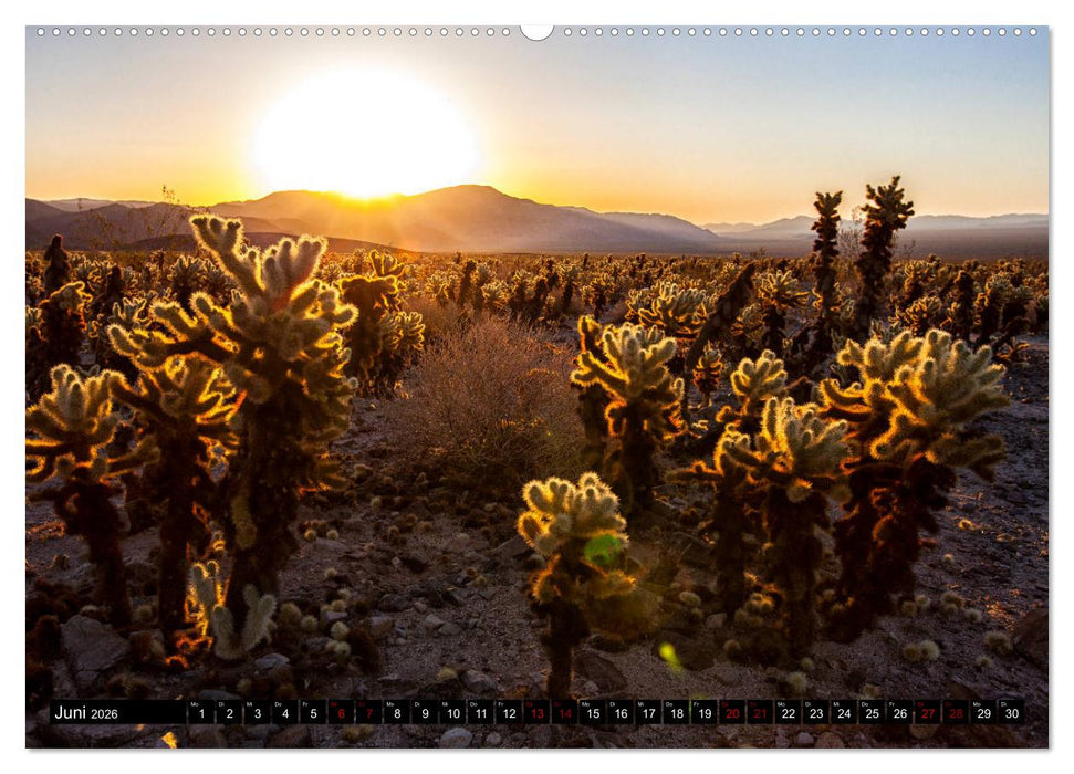 Landschaftliche Schätze (CALVENDO Wandkalender 2026)
