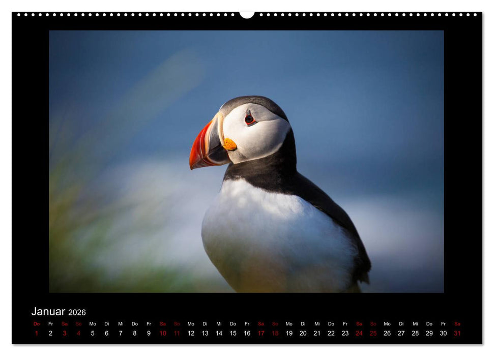 Island - Eine Reise in Bildern (CALVENDO Wandkalender 2026)