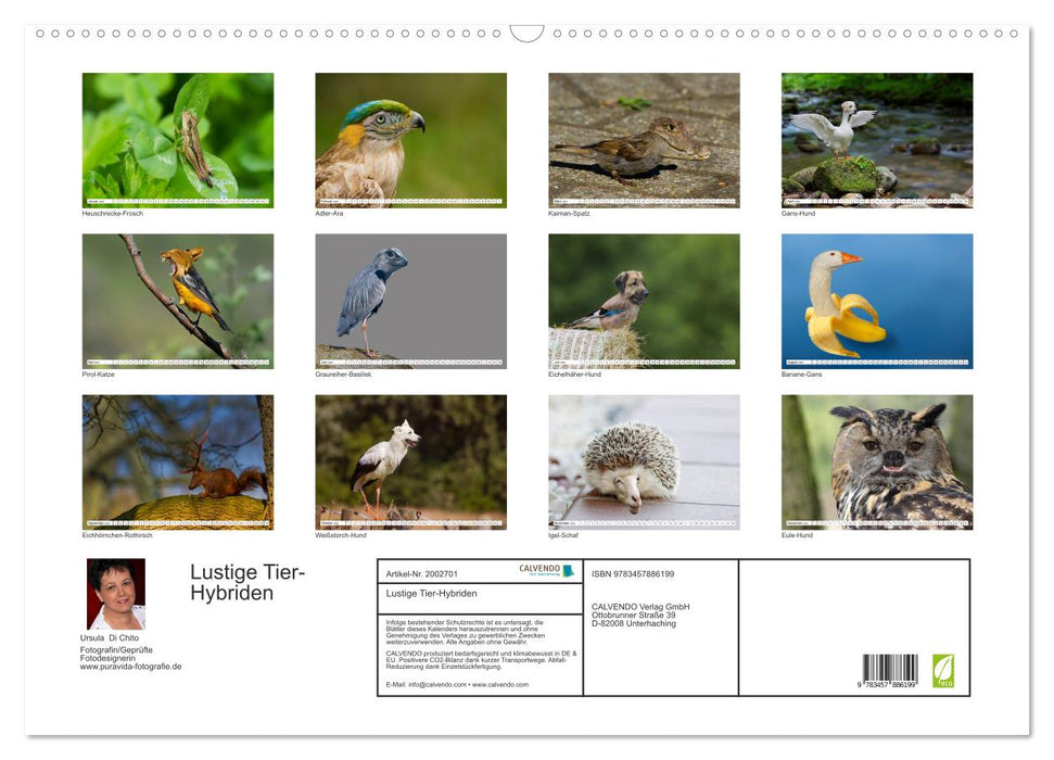 Lustige Tier-Hybriden (CALVENDO Wandkalender 2026)
