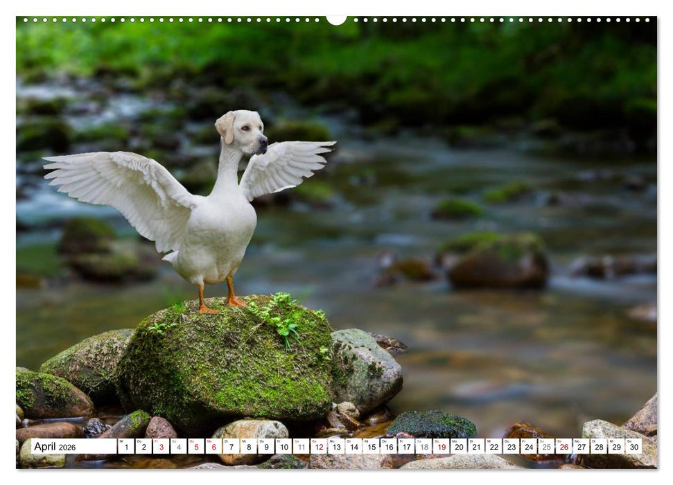 Lustige Tier-Hybriden (CALVENDO Wandkalender 2026)