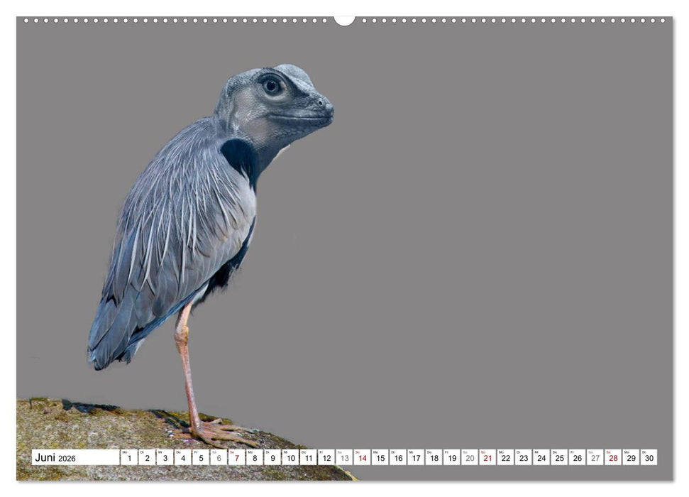 Lustige Tier-Hybriden (CALVENDO Wandkalender 2026)