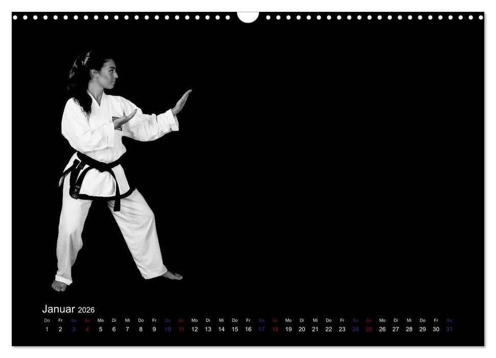 Traditionelles Taekwon-Do (CALVENDO Wandkalender 2026)