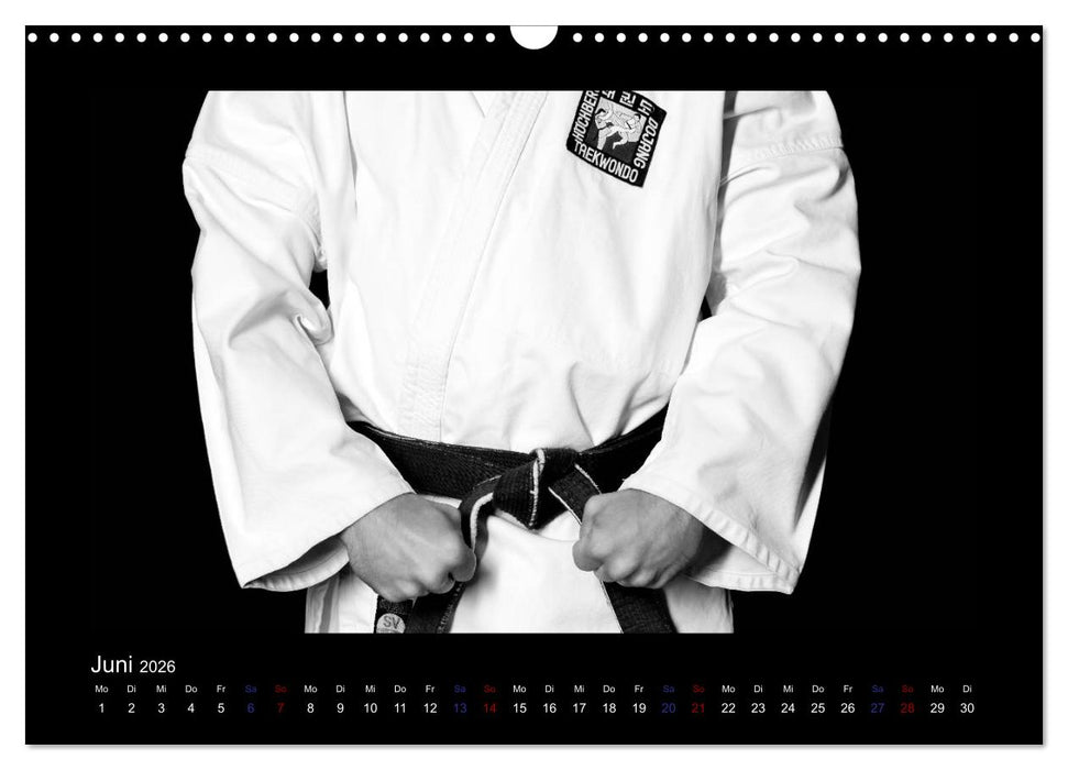 Traditionelles Taekwon-Do (CALVENDO Wandkalender 2026)