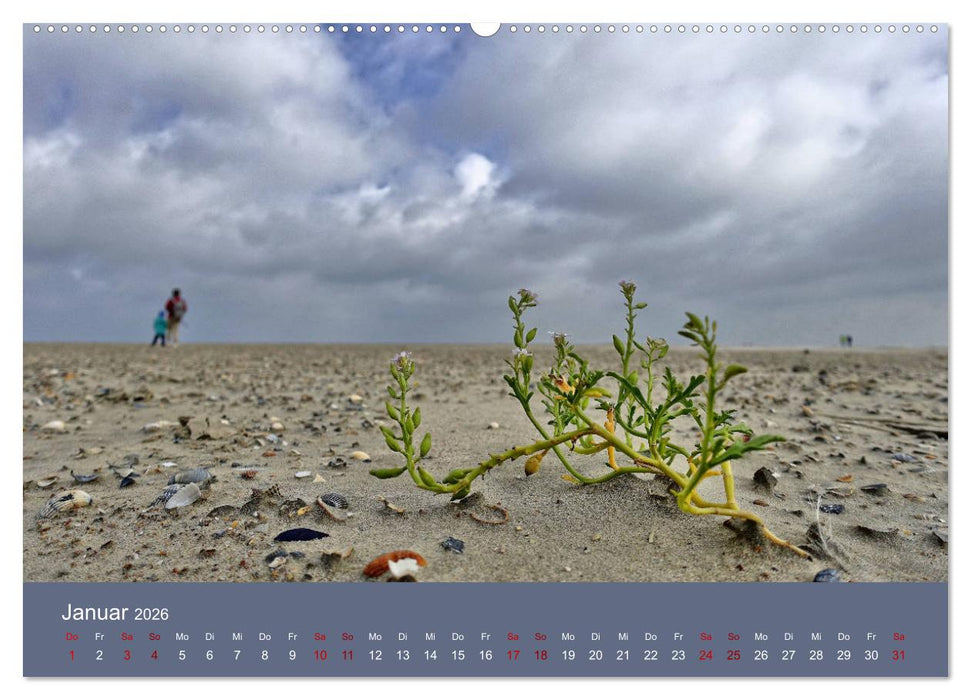 Norderney - Meine Trauminsel (CALVENDO Wandkalender 2026)