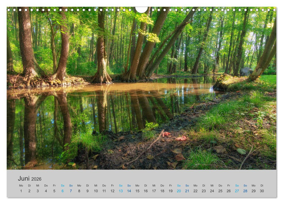 See- und Flußlandschaften in Brandenburg (CALVENDO Wandkalender 2026)