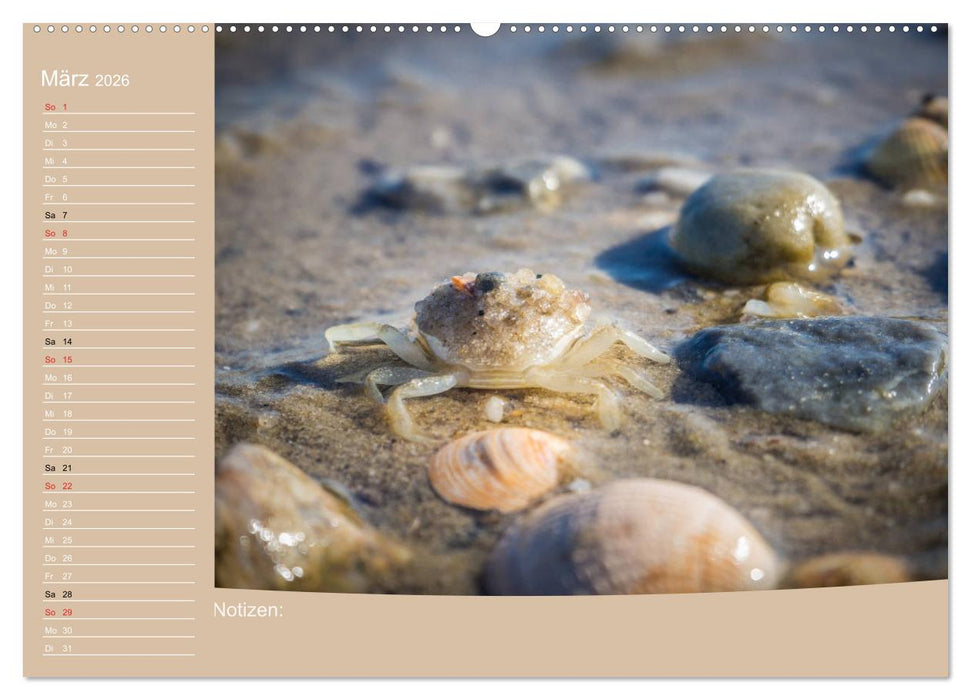 Hooksiel im Friesland (CALVENDO Wandkalender 2026)