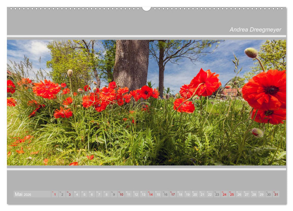 Krummhörn im Panorama-Format (CALVENDO Wandkalender 2026)