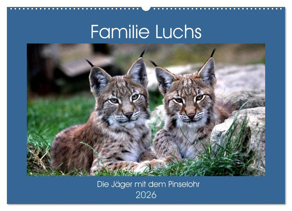 Familie Luchs - Die Jäger mit dem Pinselohr (CALVENDO Wandkalender 2026)