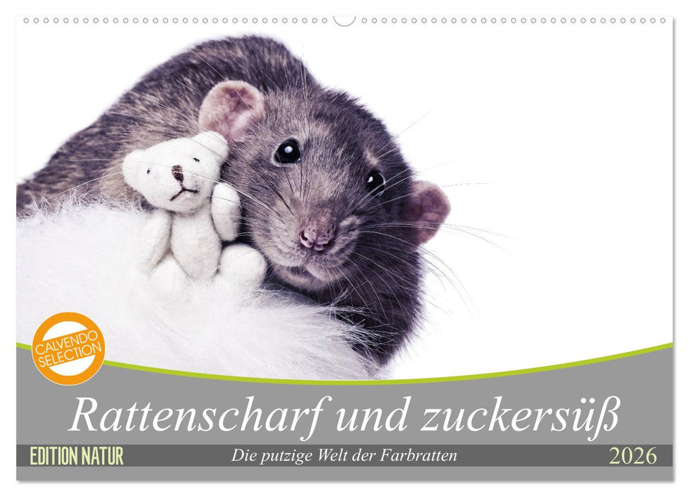 Rattenscharf und zuckersüß (CALVENDO Wandkalender 2026)