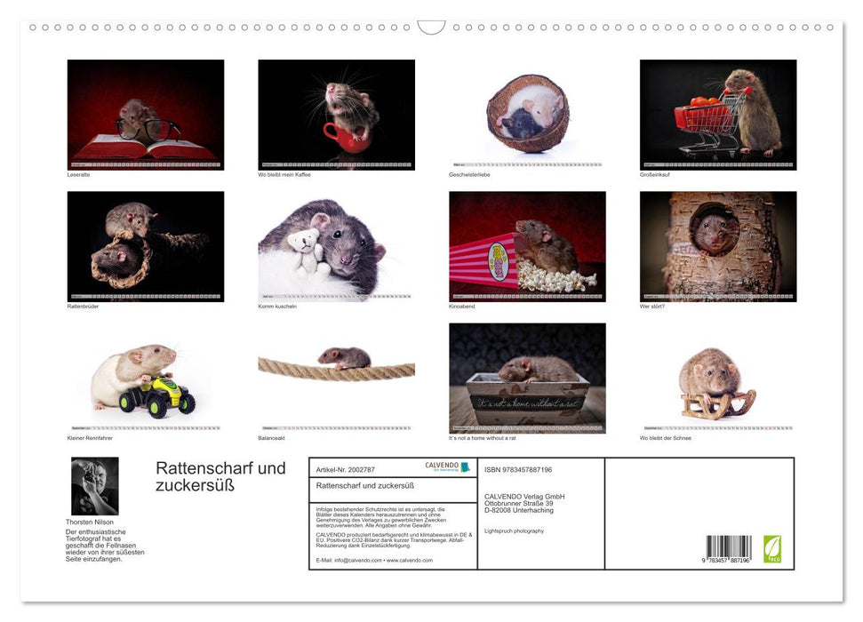 Rattenscharf und zuckersüß (CALVENDO Wandkalender 2026)